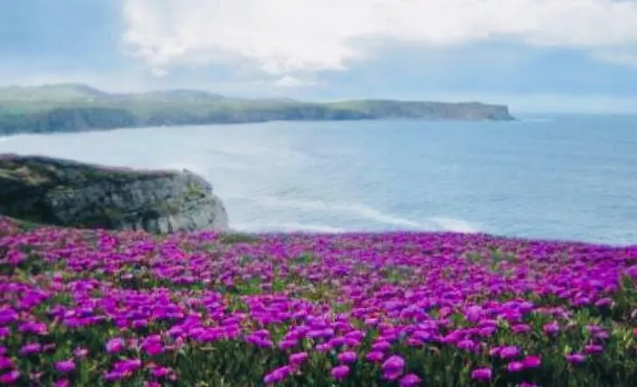 Appartement Casa Luis